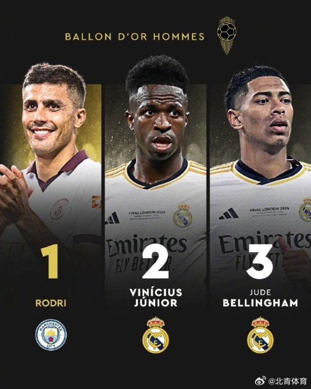 [德甲]第16轮：多特蒙德2-3勒沃库森 集锦