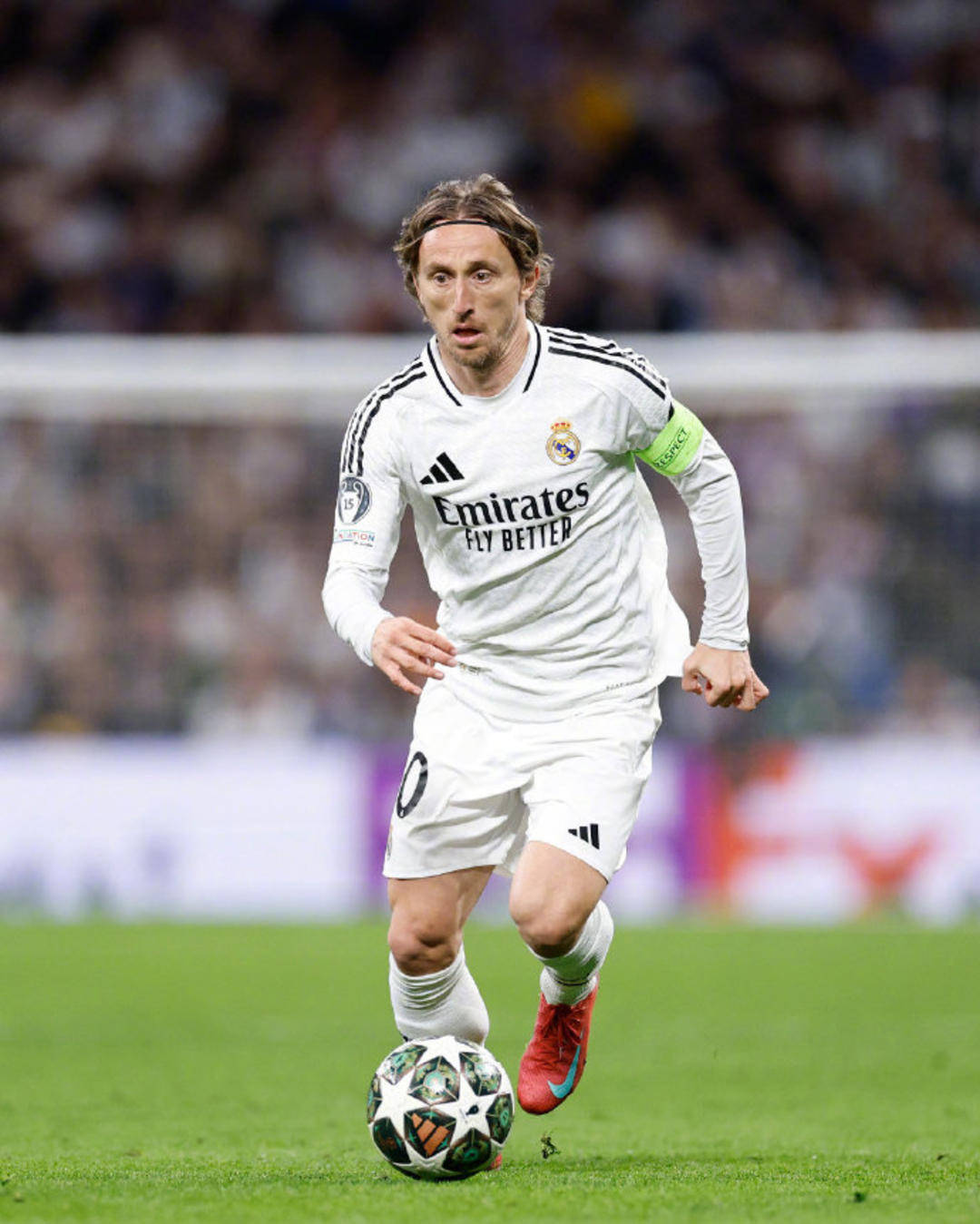 逆水寒手游苦情树花作用攻略详解